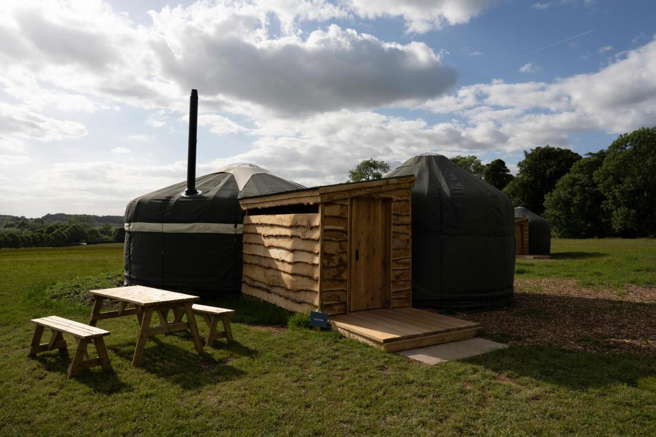 Wild Meadow, Lodge Farm, East Raynham Fakenham Exterior foto