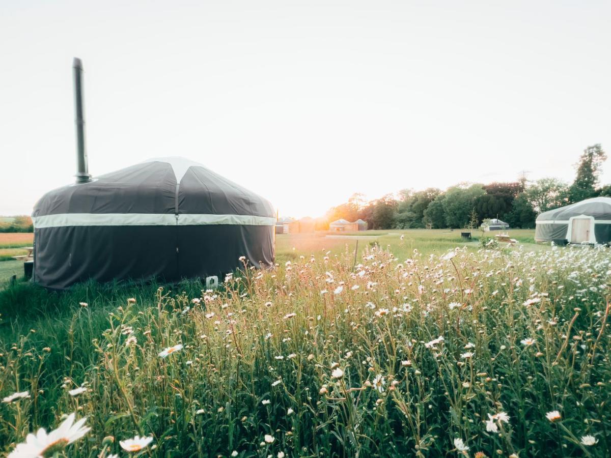 Wild Meadow, Lodge Farm, East Raynham Fakenham Exterior foto