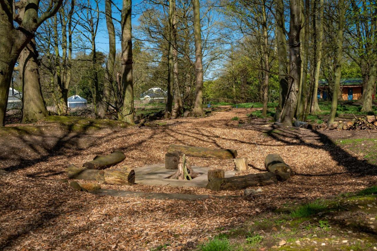Wild Meadow, Lodge Farm, East Raynham Fakenham Exterior foto